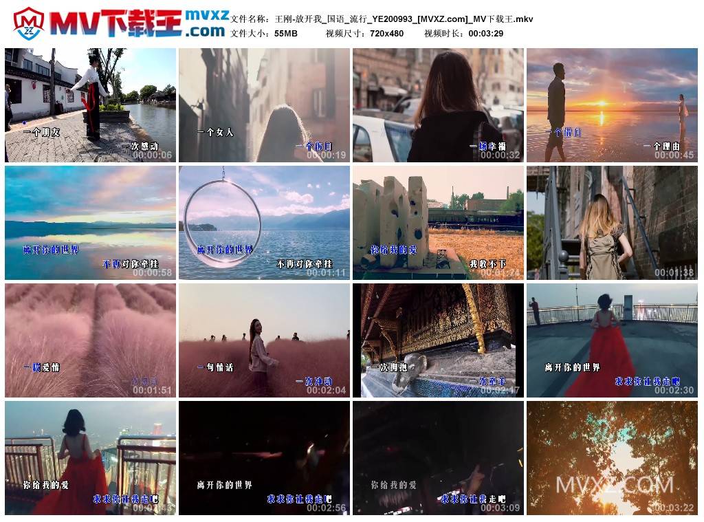 王刚-放开我_国语_流行_YE200993